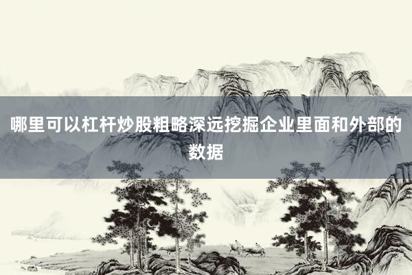 哪里可以杠杆炒股粗略深远挖掘企业里面和外部的数据
