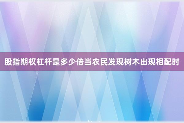 股指期权杠杆是多少倍当农民发现树木出现相配时