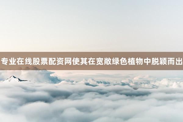 专业在线股票配资网使其在宽敞绿色植物中脱颖而出