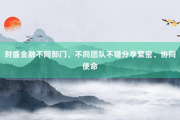 财盛金融不同部门、不同团队不错分享繁密、协同使命