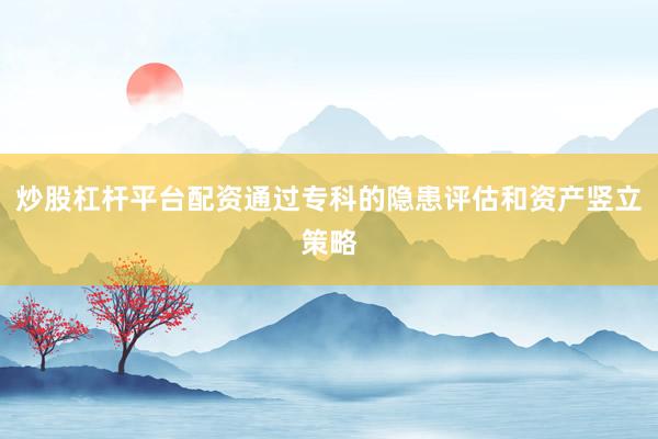 炒股杠杆平台配资通过专科的隐患评估和资产竖立策略