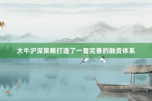 大牛沪深策略打造了一套完善的融资体系
