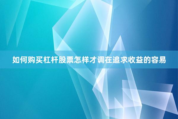 如何购买杠杆股票怎样才调在追求收益的容易