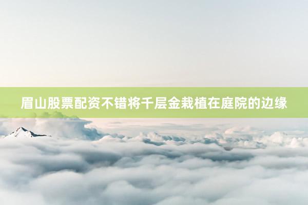 眉山股票配资不错将千层金栽植在庭院的边缘