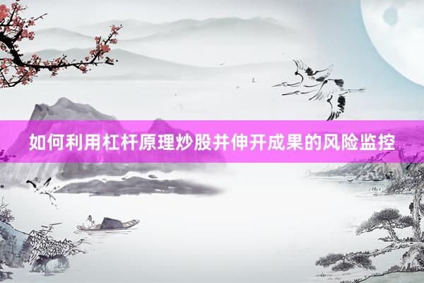如何利用杠杆原理炒股并伸开成果的风险监控