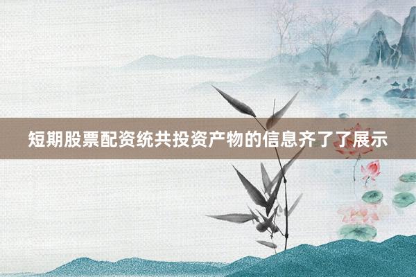 短期股票配资统共投资产物的信息齐了了展示