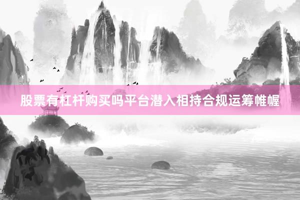 股票有杠杆购买吗平台潜入相持合规运筹帷幄