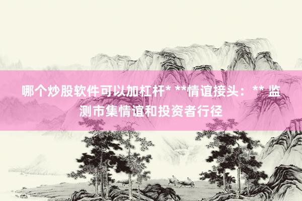 哪个炒股软件可以加杠杆* **情谊接头：** 监测市集情谊和投资者行径
