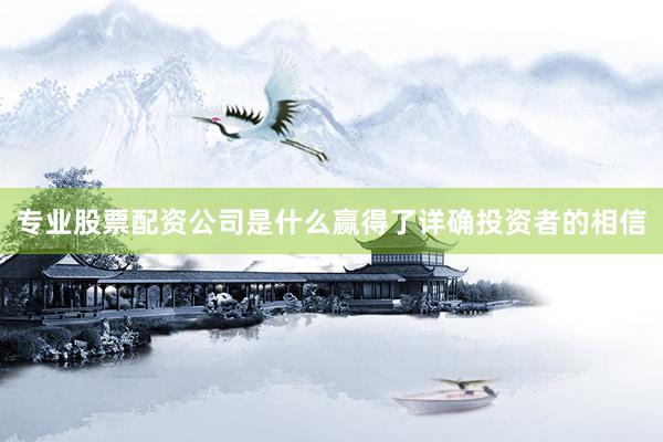 专业股票配资公司是什么赢得了详确投资者的相信