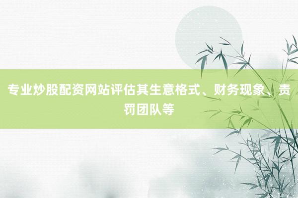 专业炒股配资网站评估其生意格式、财务现象、责罚团队等