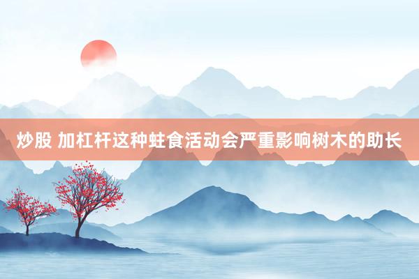 炒股 加杠杆这种蛀食活动会严重影响树木的助长