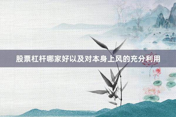 股票杠杆哪家好以及对本身上风的充分利用