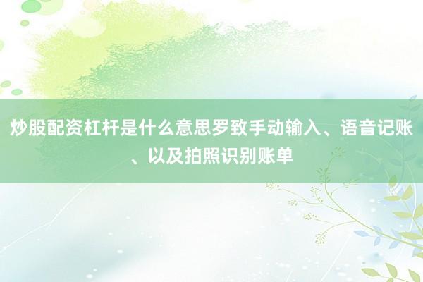 炒股配资杠杆是什么意思罗致手动输入、语音记账、以及拍照识别账单