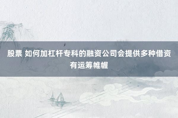 股票 如何加杠杆专科的融资公司会提供多种借资有运筹帷幄