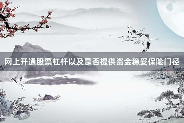 网上开通股票杠杆以及是否提供资金稳妥保险门径