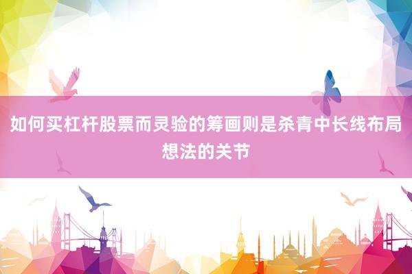 如何买杠杆股票而灵验的筹画则是杀青中长线布局想法的关节