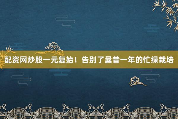 配资网炒股一元复始！告别了曩昔一年的忙绿栽培